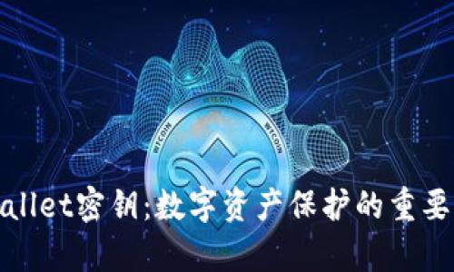 tpWallet密钥：数字资产保护的重要工具
