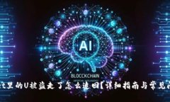 tpWallet里的U被盗走了怎么追回？详细指南与常见