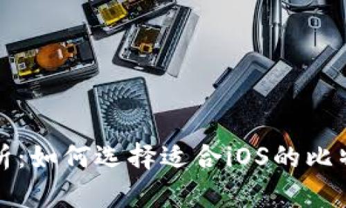 全面解析：如何选择适合iOS的比特币钱包