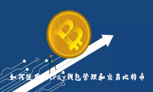 如何使用BitPay钱包管理和交易比特币