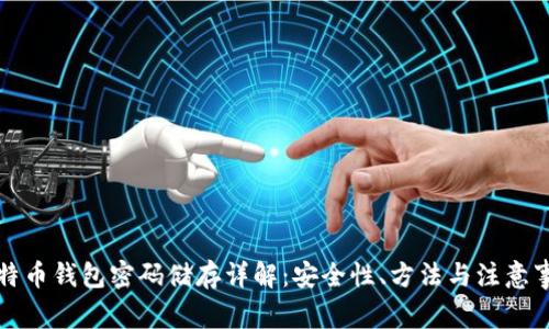 比特币钱包密码储存详解:安全性、方法与注意事项