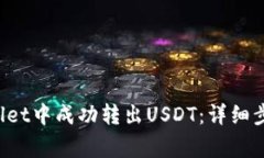 如何在TP Wallet中成功转出USDT：详细步骤与注意事